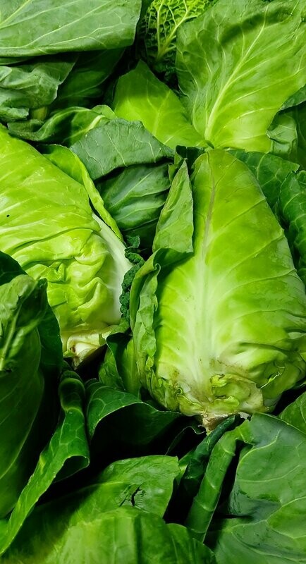 Hispi Cabbage per item