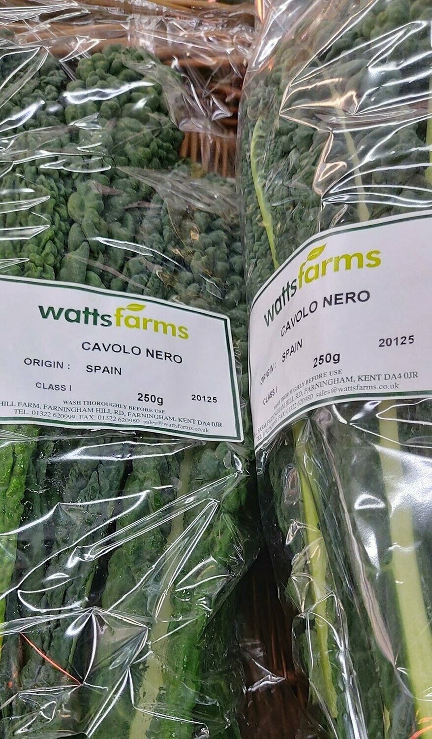 Cavolo Nero per pack