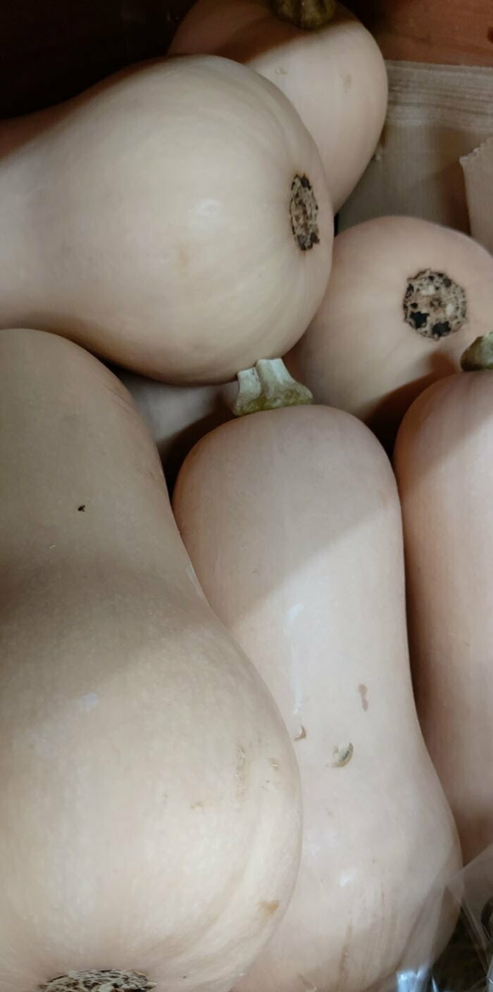 Butternut Squash per item