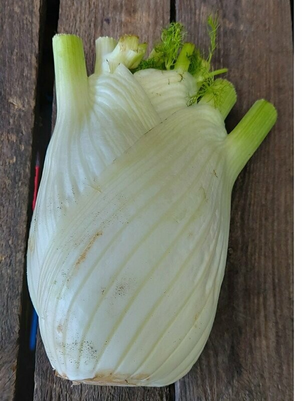 Fennel per item