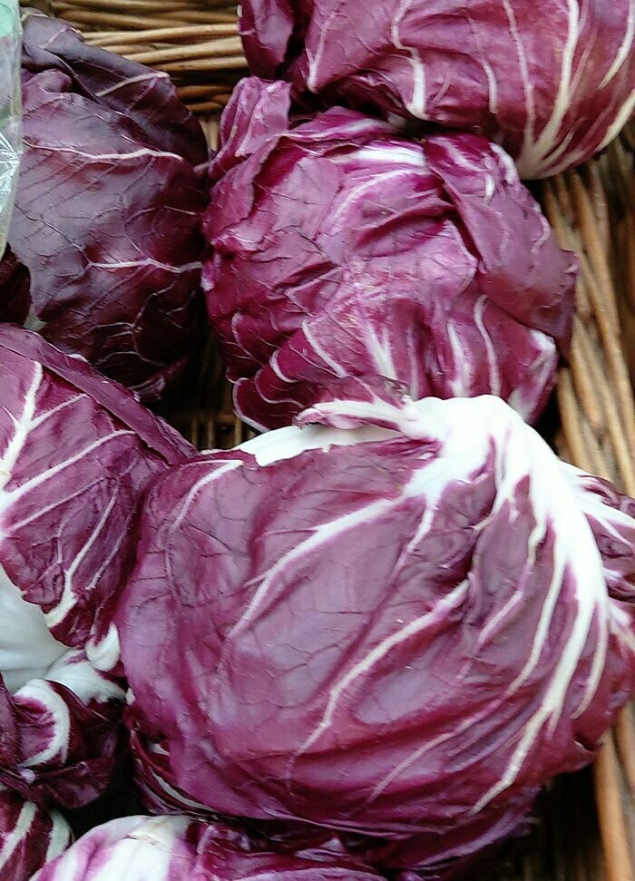 Radicchio per item