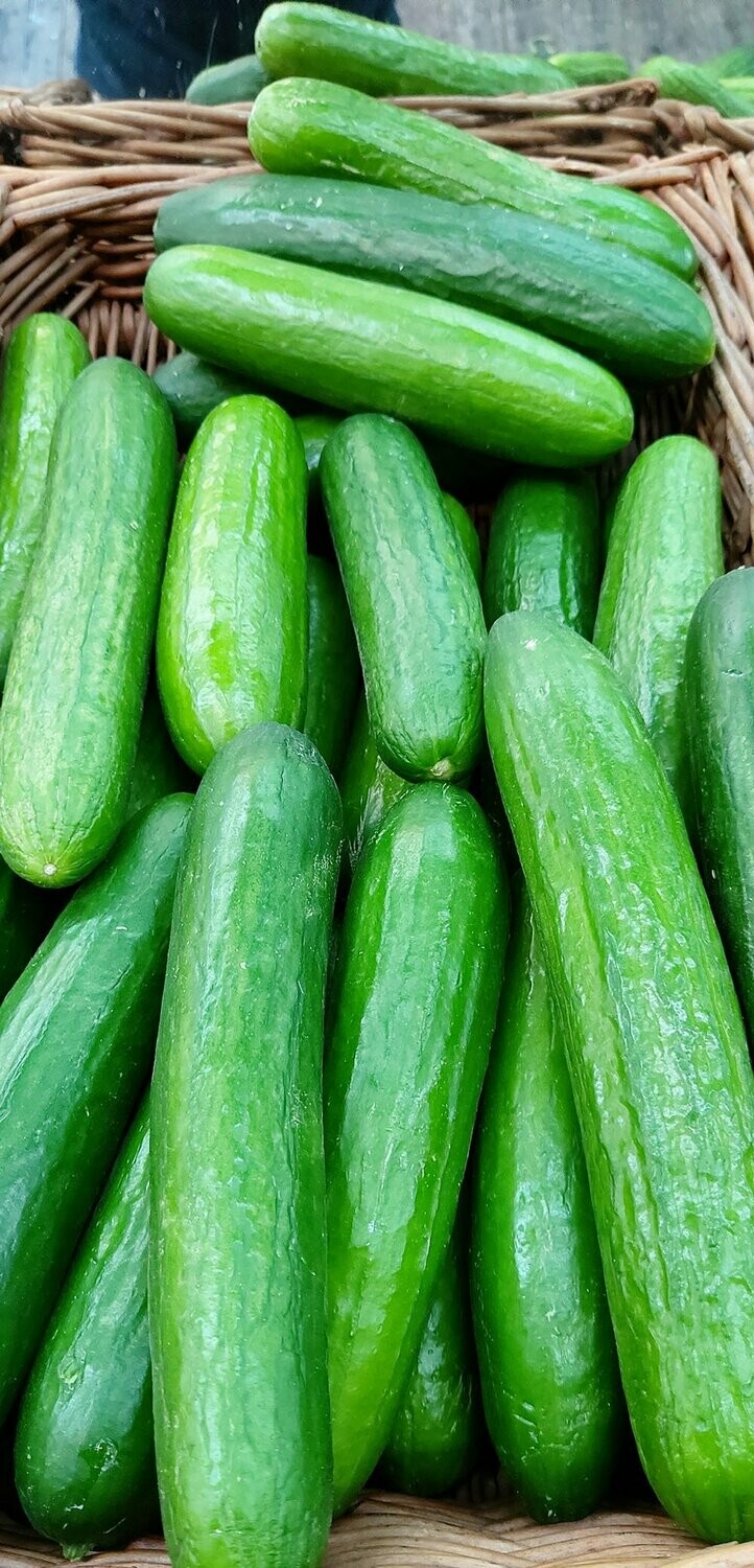 Mini Cucumbers per item