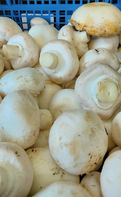 Cup Mushrooms 250 g