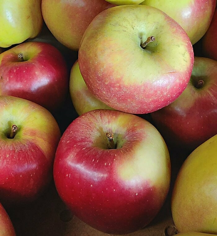 Braeburn Apples(5 Pieces )