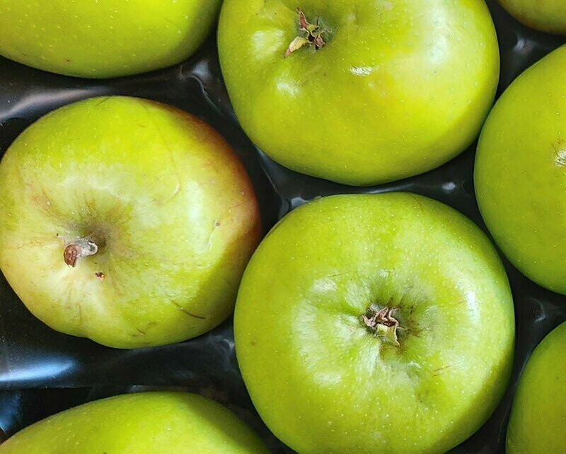 Large Bramley Cooking Apples (500g)
