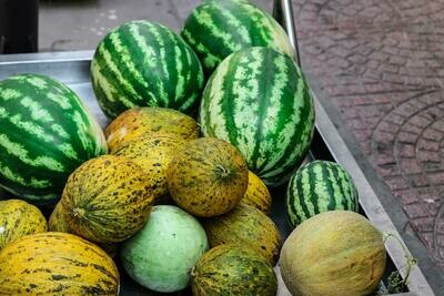 Melons