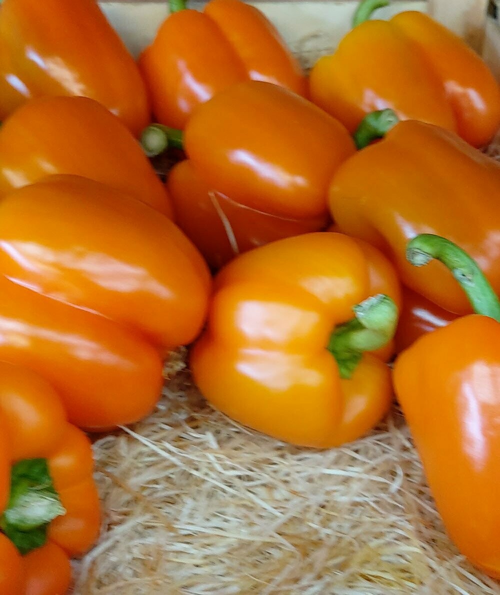 Orange Peppers per item