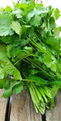Herbs