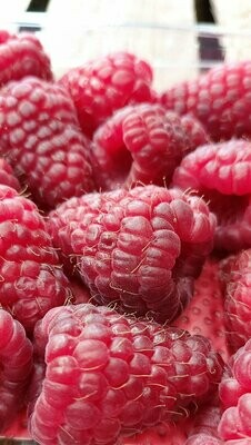 Berries