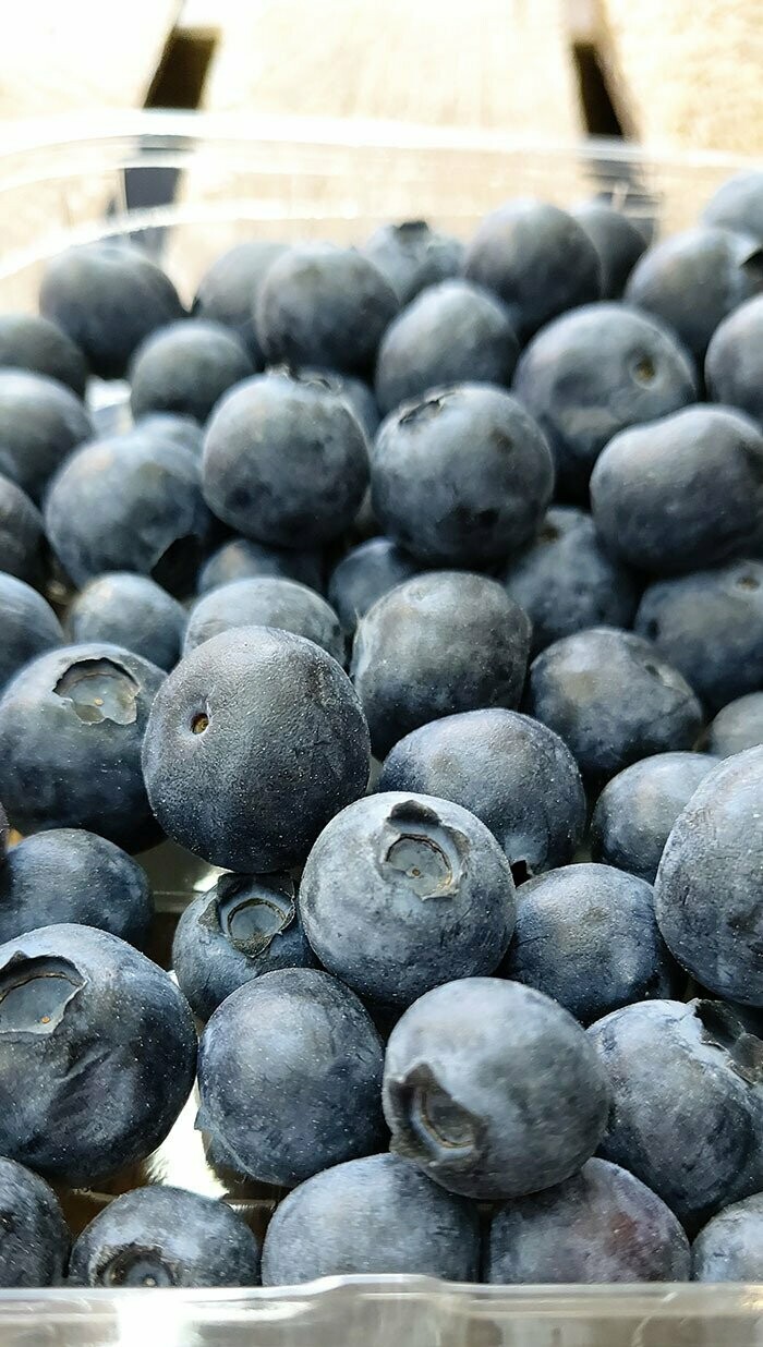 Blueberries 125 g punnet