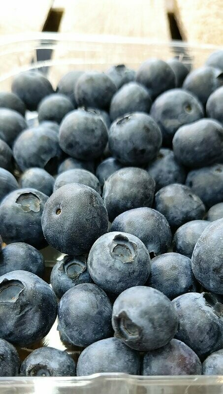 Blueberries 125 g punnet