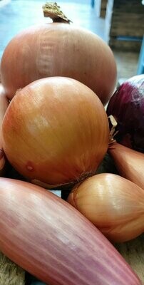 Onions