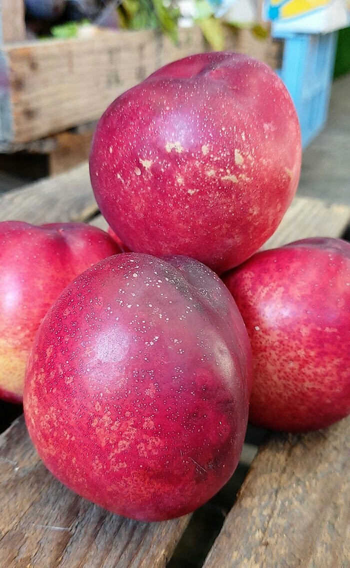 Nectarine (4 Pieces)