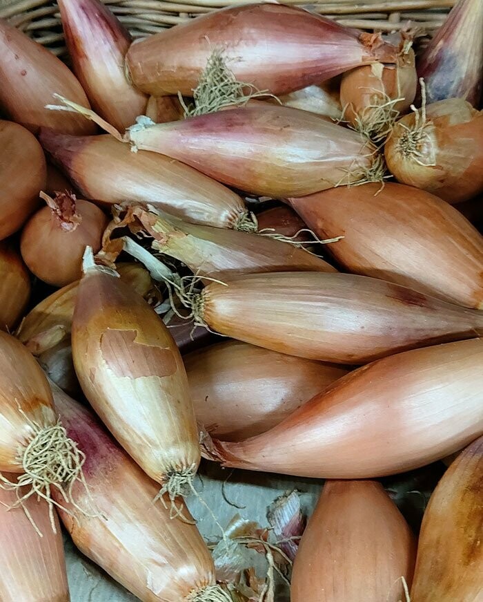 Banana Shallots 250 g