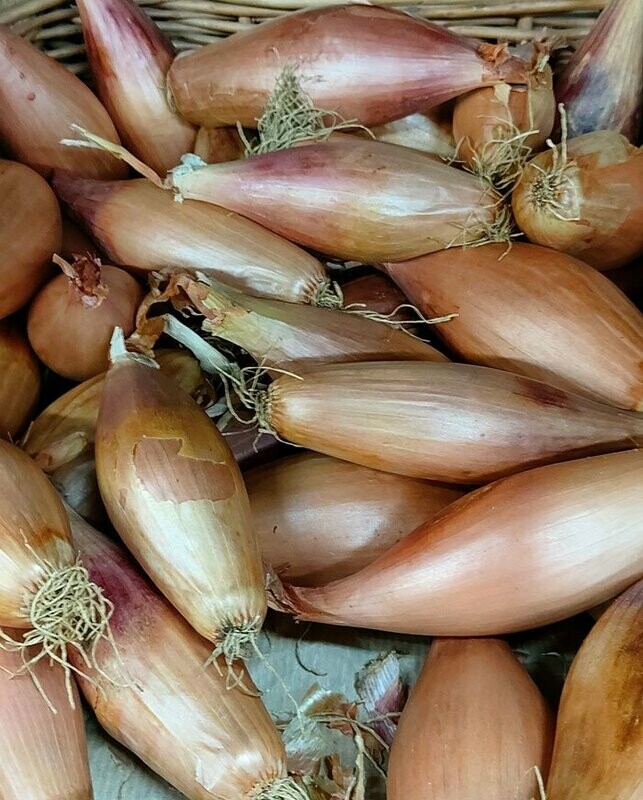 Banana Shallots 250 g
