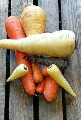 Root Vegetables