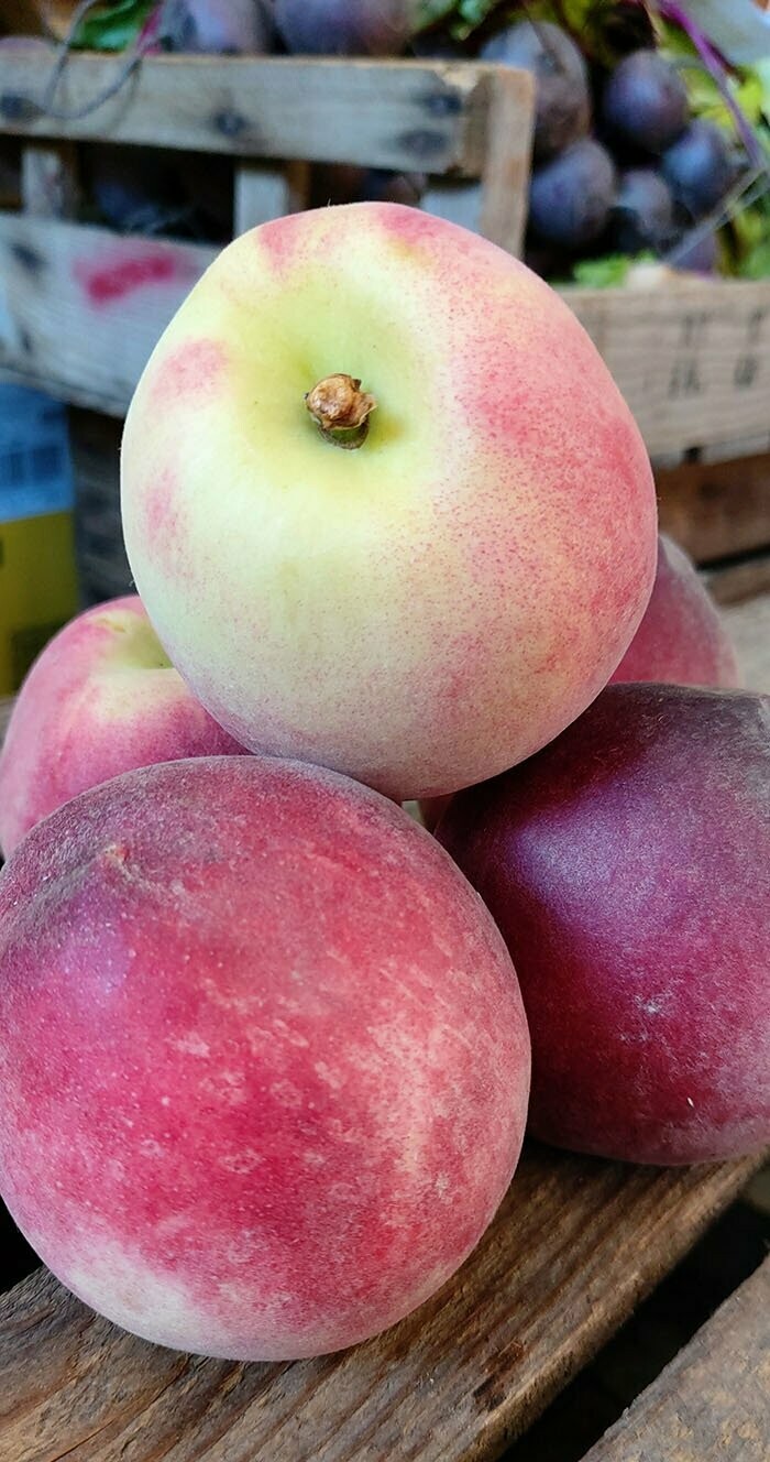 Peaches (4 Pieces)