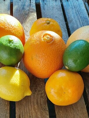 Citrus