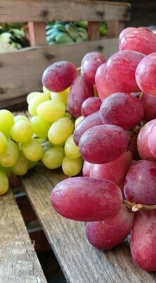 Grapes