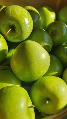 Apples