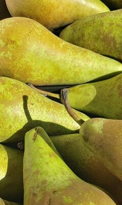 Pears