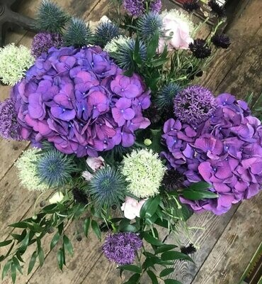 Flowers and Plants