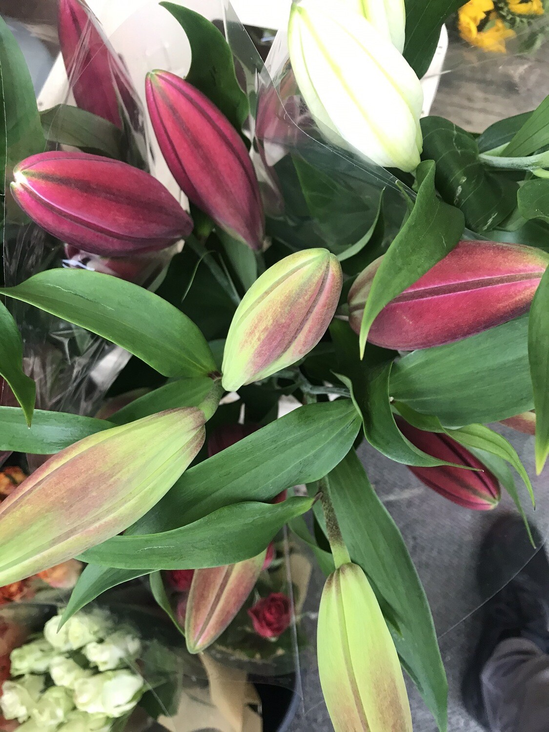 Long Stem Pink Lilys (per Stem)
