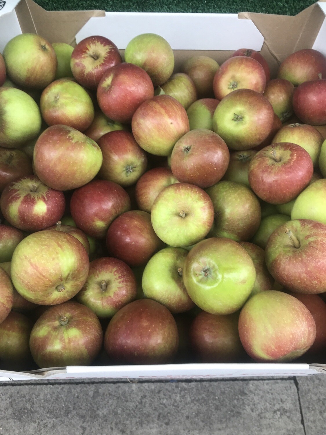 English Coxes (3 Pieces)