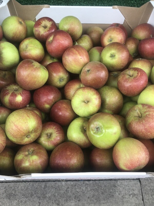 English Coxes (3 Pieces)