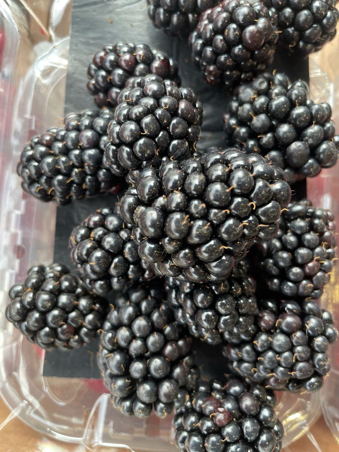 Blackberries 125 g punnet