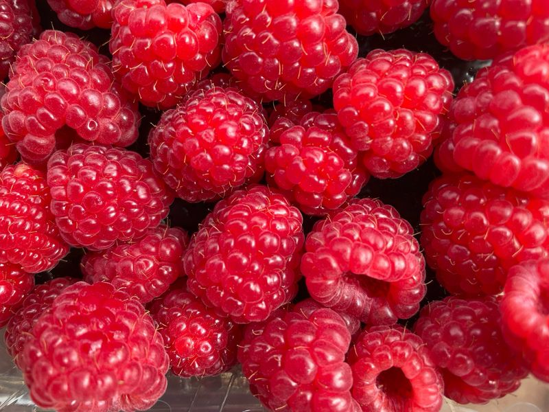 Raspberries punnet