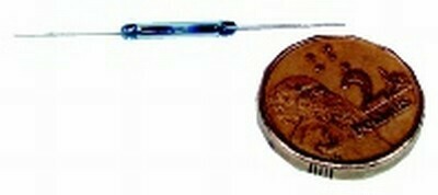 SWITCH REED GLASS MINI N/O
