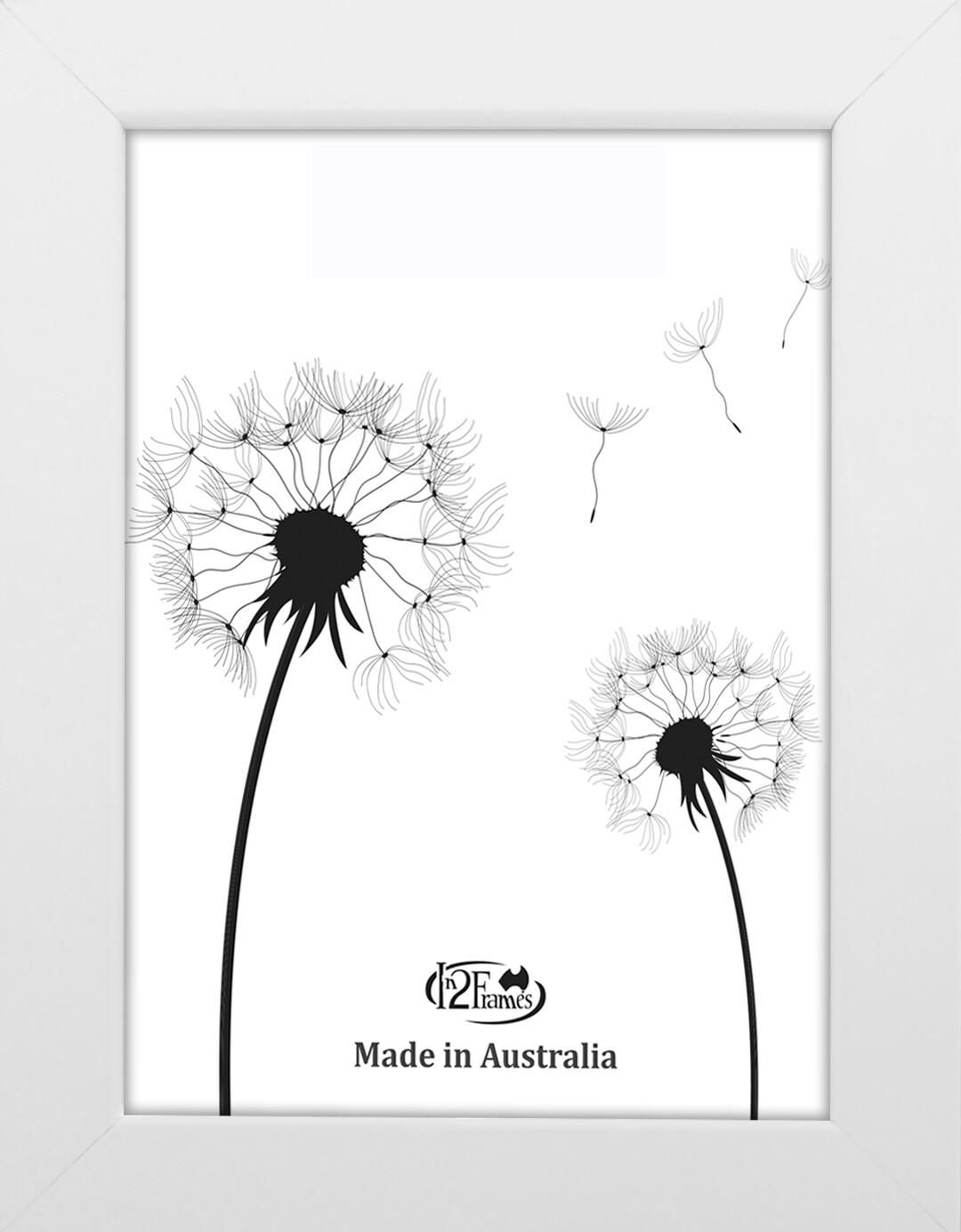 M72 8x10 White Frame