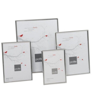 Metal Frames