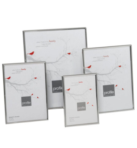 Habitat Silver 6x8 Frame