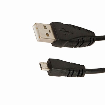 Camera Leads