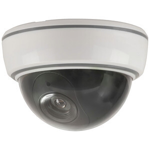 Dome Cameras