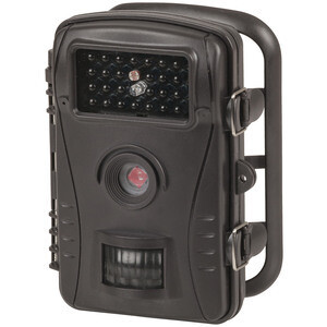 Trail Cameras