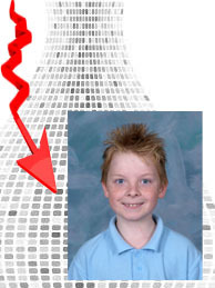 Photo Digital Download