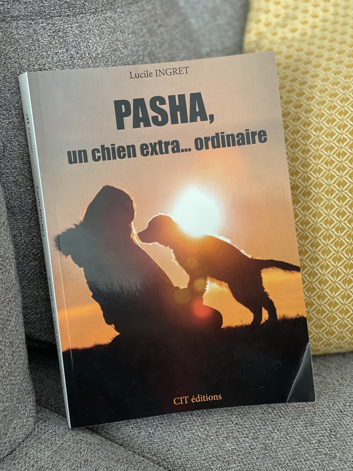 Pasha, un chien extra… ordinaire
