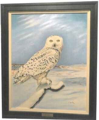 Snowy Owl (Laser Print)