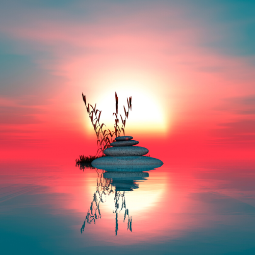 Zen Den Zen Den