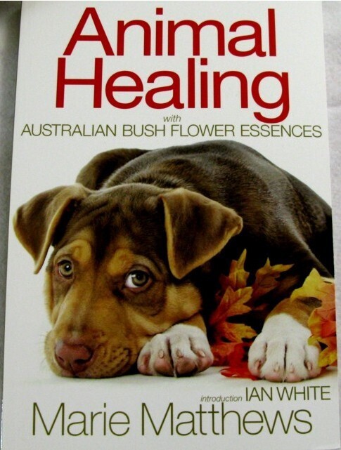 Animal Healing with Australian Bush Flower Essences - Marie Matthews (Book)