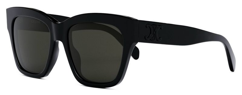 CELINE 40253I