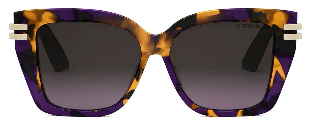 DIOR CD S1F
