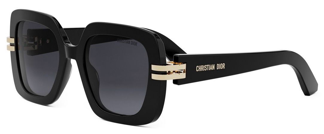 DIOR CD S2I