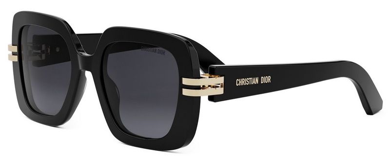 DIOR CD S2I
