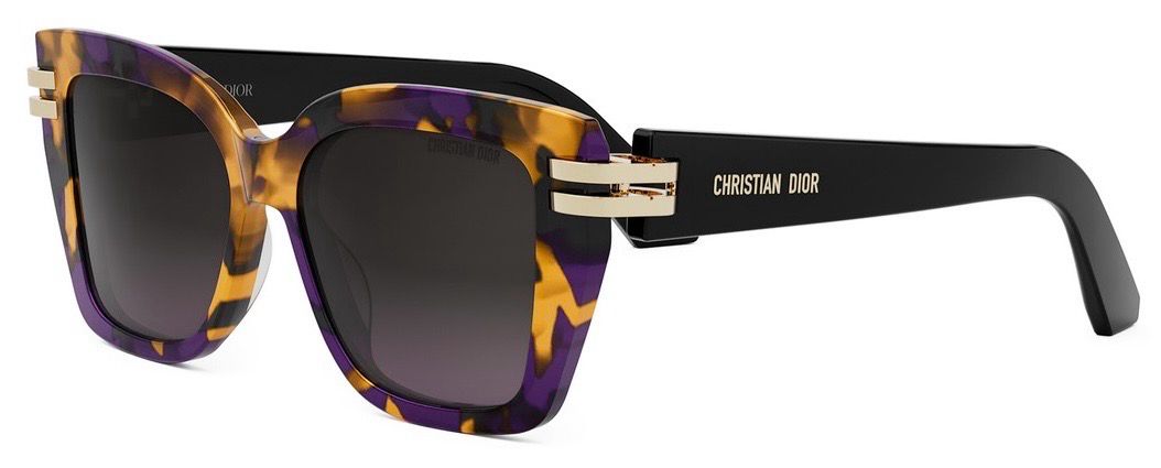 DIOR CD S1F