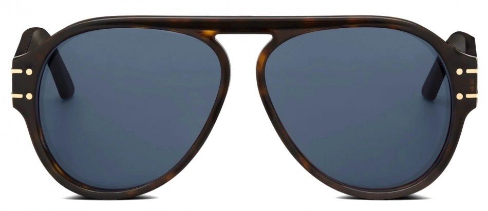 DIOR SIGNATURE A1U