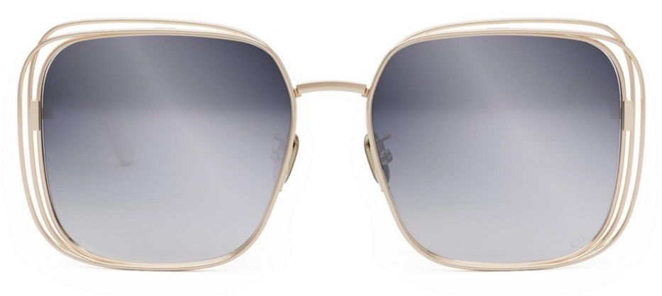 DIOR FILDIOR S1U